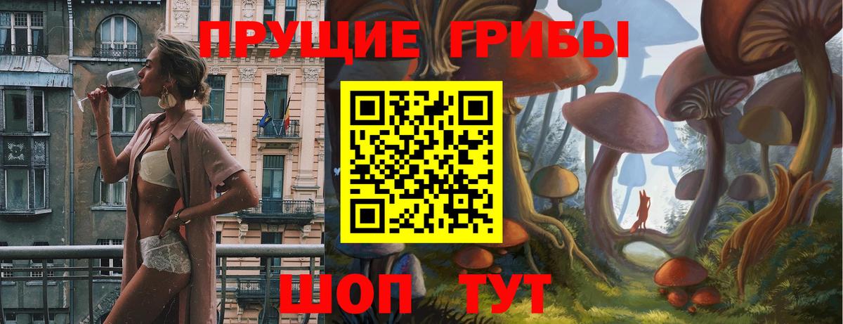 Галлюциногенные грибы мухоморы Тамбов