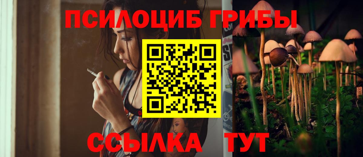 Псилоцибиновые грибы мицелий  Галлюциногенные грибы мухоморы  Тамбов  Вход с VPN 